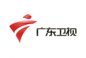 廣東衛視