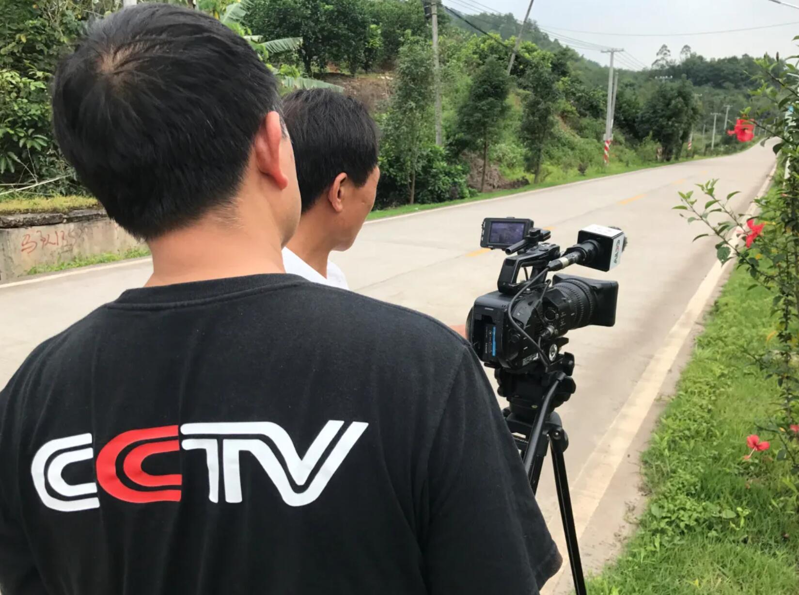 央視欄目拍攝制作方案的主要特征