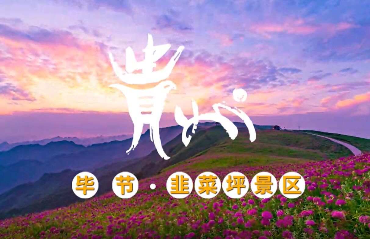 境內城市旅游形象央視廣告須提供證明文件